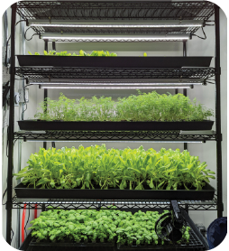 Nursery Station Image 03
