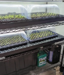 Nursery Station Image 01